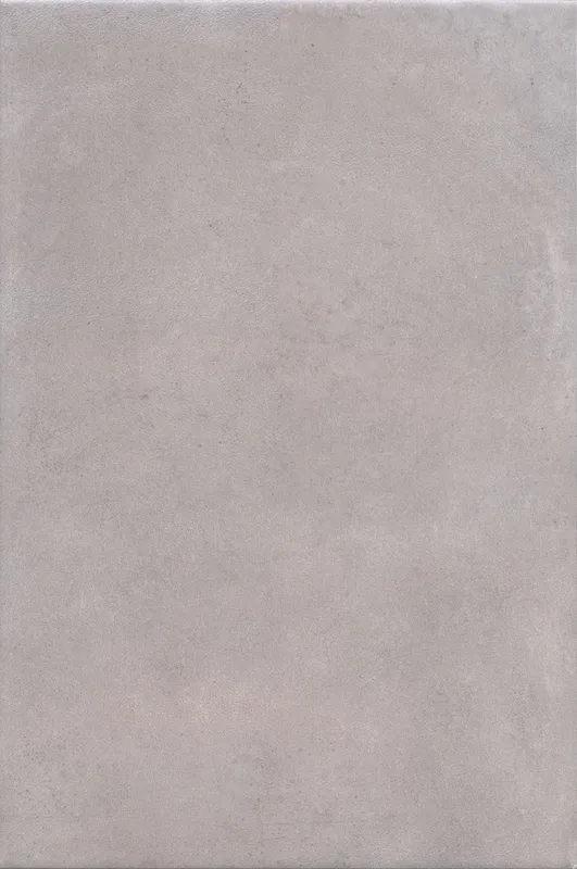 Александрия серый матовый 20x30