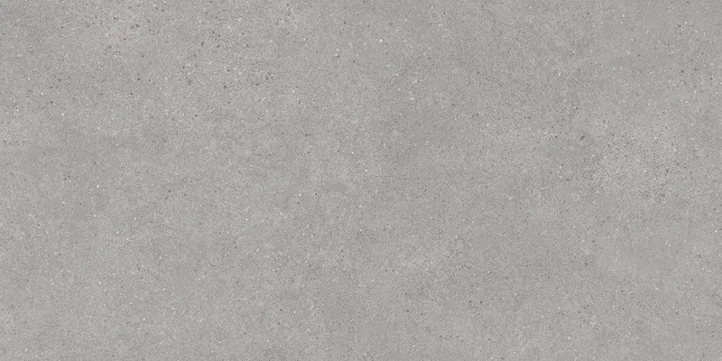 Фондамента серый светлый обрезной 60x119,5