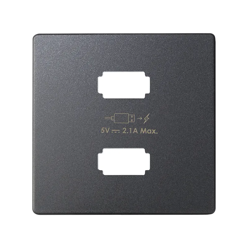 Накладка на розетку Simon 82 Detail для зарядного устройства 2хUSB, графит — передний план с разъемами