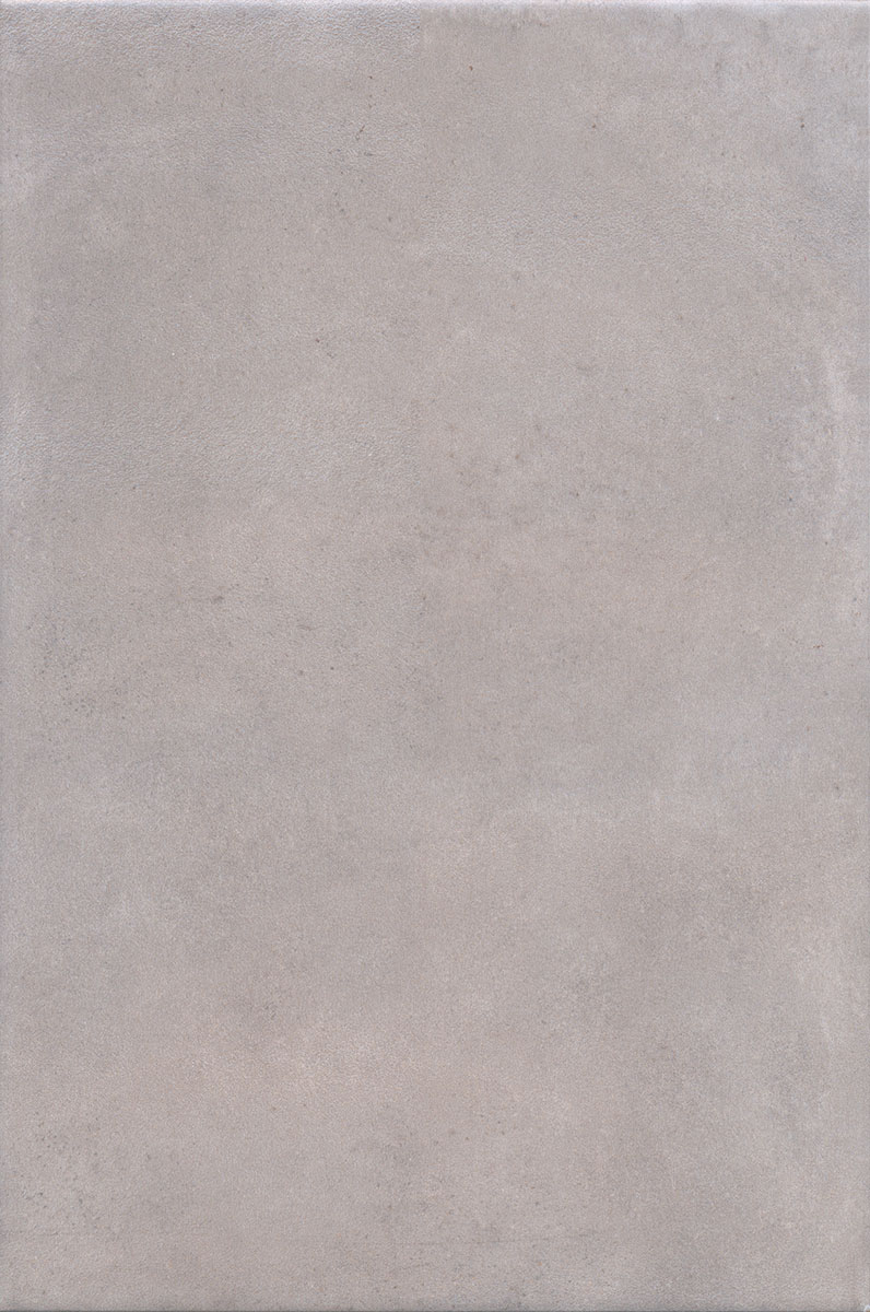Александрия серый матовый 20x30