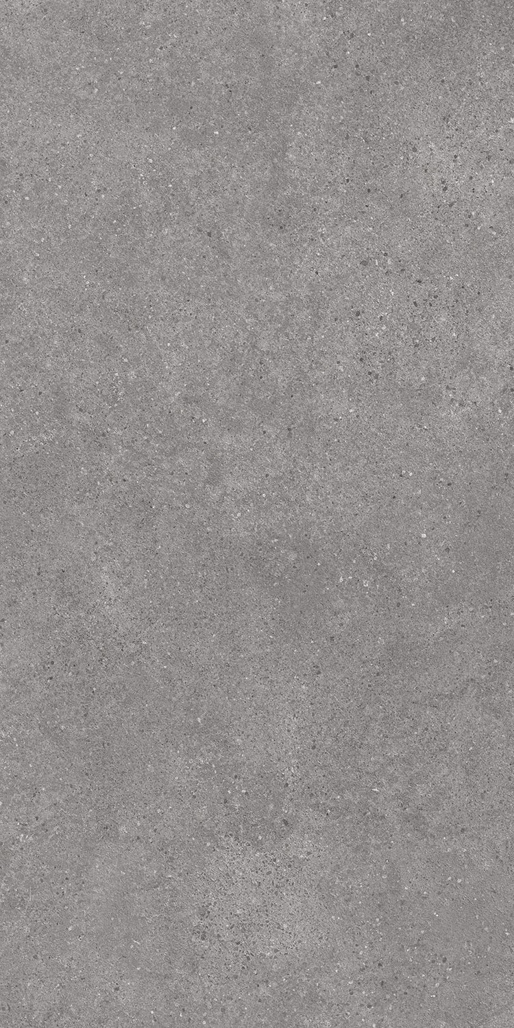Фондамента серый обрезной 119,5x238,5