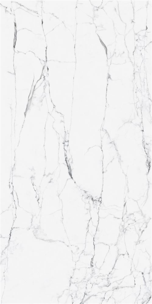 60X120 CityMarble Статуарио Венато R10